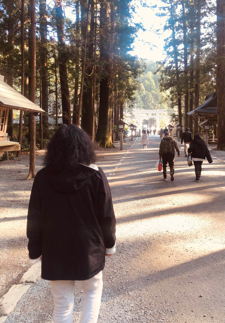 A tree-lined path leading to a shrine gate